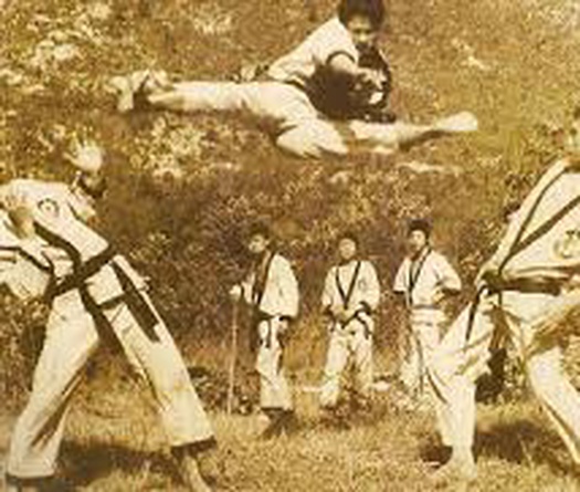 Taekwondo nguyên thủy và hành trình trở thành môn quốc võ, môn chính thức tại Olympic