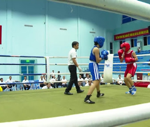 Boxing Việt Nam: Chuyện một giải đấu phải "cấp cứu" giữa giông bão (Kỳ 1)