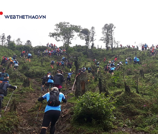 Điều kiện tham dự cự ly siêu khủng 160km của giải chạy đường mòn Sa Pa gây sốt