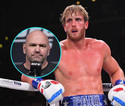 Em đấm, anh xoa, Logan Paul chủ động xin lỗi Dana White sau lời xúc phạm của em trai