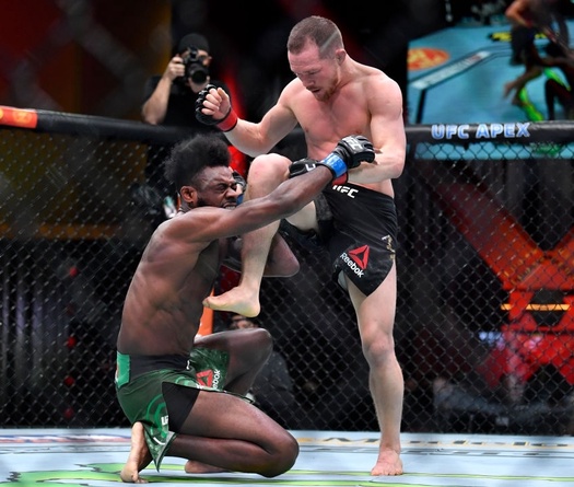 Tại sao cú lên gối của Petr Yan lên Aljamain Sterling tại UFC 259 lại phạm luật?