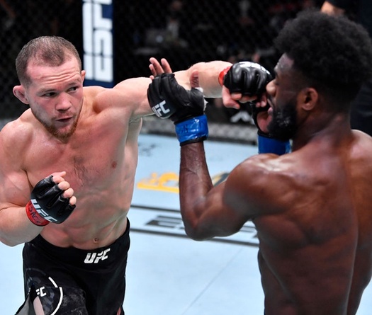 Petr Yan: “Aljamain Sterling đang né tránh trận tái đấu”