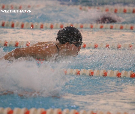 Chuyện siêu lạ về kình ngư từng ba lần đánh bại Ánh Viên