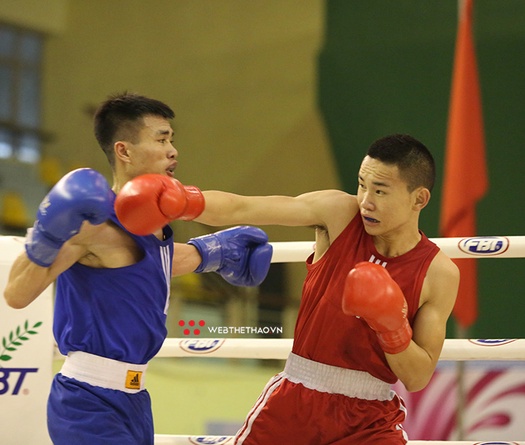 Giải Vô địch Boxing Các đội mạnh Toàn Quốc dời lịch vì Covid-19