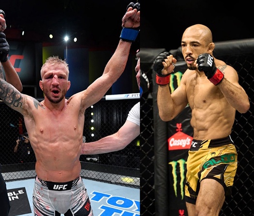 Jose Aldo gọi tên TJ Dillashaw sau màn thể hiện đẹp mắt tại UFC 265