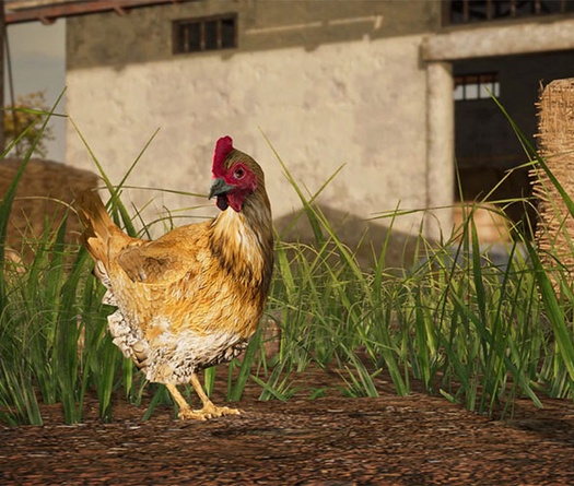 PUBG 14.2: Chi tiết bản cập mới PlayerUnknown's Battlegrounds PC