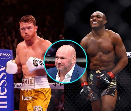 Xem Canelo Alvarez thi đấu giữa UFC 268, Dana White khuyên Kamaru Usman "nghĩ lại"