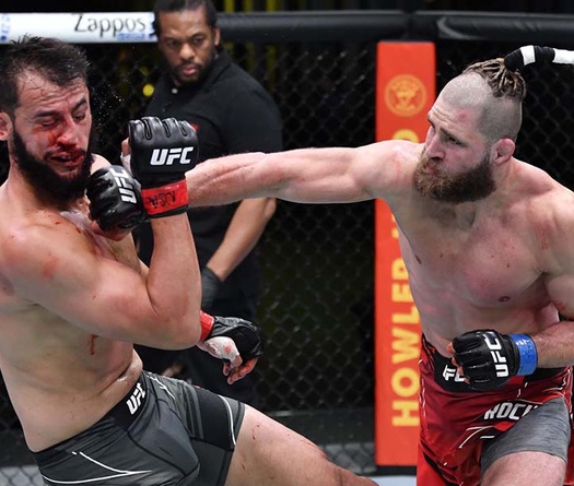 Chờ suất tranh đai siêu dị kiểu "Samurai" Jiri Prochazka: Đấm cây 500 lần mỗi ngày