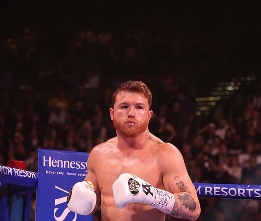 Canelo Alvarez "quay xe", thách thức Dmitry Bivol và Gennady Golovkin với giá 85 triệu đô