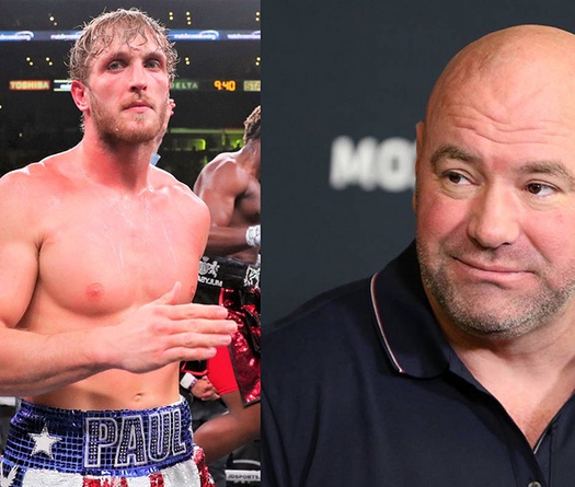 "Tôi không nói từ chối": Dana White có sẵn sàng chào đón Logan Paul tới UFC?