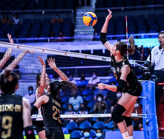 Trực tiếp bóng chuyền hôm nay 19/6: Nữ Thái Lan vs Nữ Mỹ