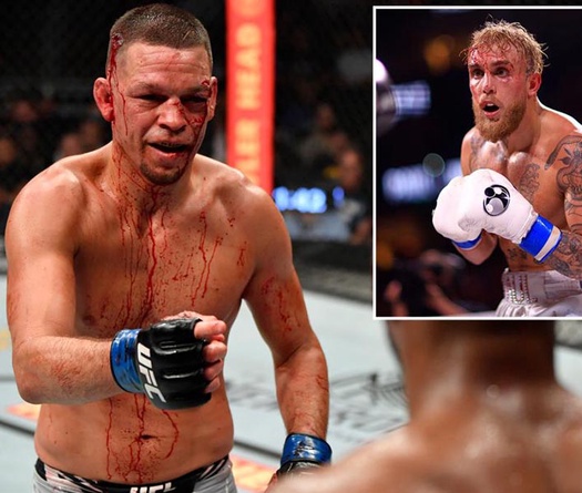Dana White gợi ý Nate Diaz tìm đến Jake Paul nếu muốn rời UFC