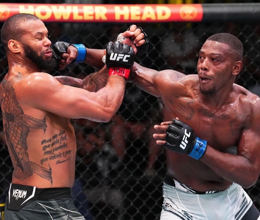 Higlights UFC Vegas 59: Cơn mưa kết liễu đánh dấu kỉ lục mới của giải