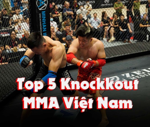 Top 5 Knockout đẹp mắt nhất MMA Việt Nam - LION Championship 2022