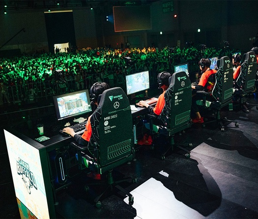 Saigon Buffalo cập nhật tình hình visa của các thành viên