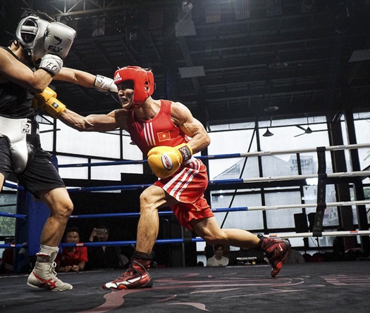 Tuyển boxing Việt Nam cọ xát với các võ sĩ đến từ Hàn Quốc và Brazil