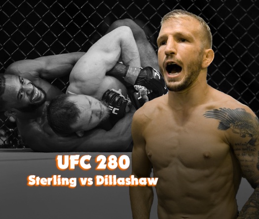 UFC 280: TJ Dillashaw nên làm gì trước wrestling của Aljamain Sterling?
