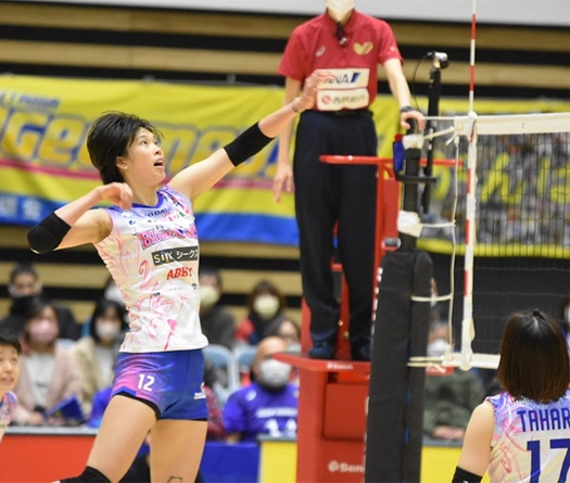 Trực tiếp Thanh Thúy thi đấu bóng chuyền Nhật Bản ngày 12/11: PFU BlueCats vs Toyota