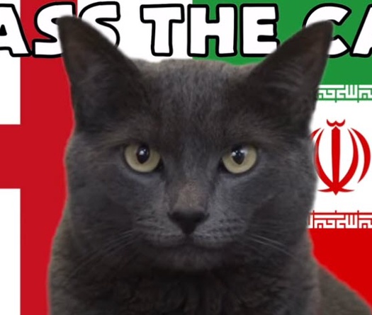 Mèo tiên tri dự đoán Anh vs Iran, 20h ngày 21/11