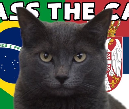 Mèo tiên tri dự đoán Brazil vs Serbia, 2h ngày 25/11