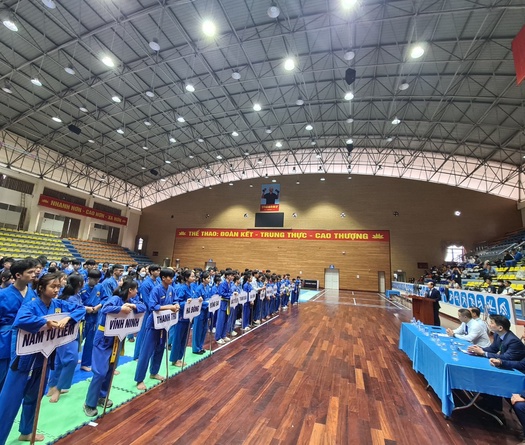Gần 300 võ sỹ tranh tài tại giải Vovinam mở rộng Hà Nội 2022