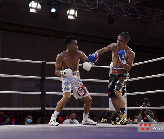 Từ Fortunes of War đến khát khao và tham vọng chinh phục của boxing chuyên nghiệp Việt Nam