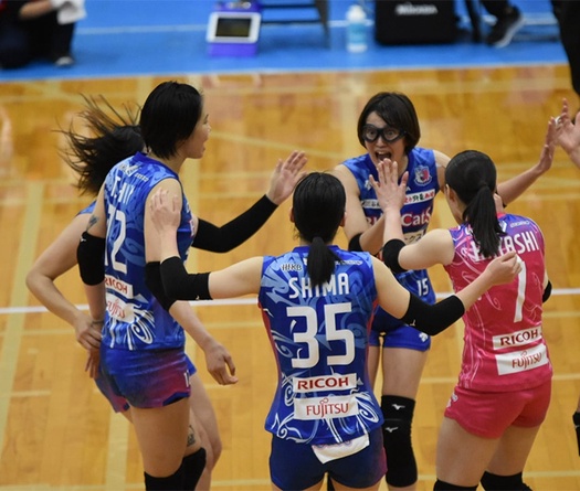 Trực tiếp Thanh Thúy thi đấu bóng chuyền Nhật Bản ngày 29/1: PFU BlueCats vs Victorina Himeji