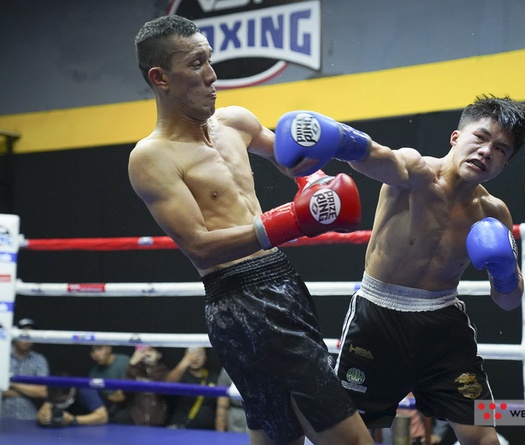 VSP Pro 3: Boxing chuyên nghiệp và Boxing nghiệp dư khác nhau như thế nào?