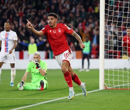 Nhận định Crystal Palace vs Nottingham: Cả hai cùng vui