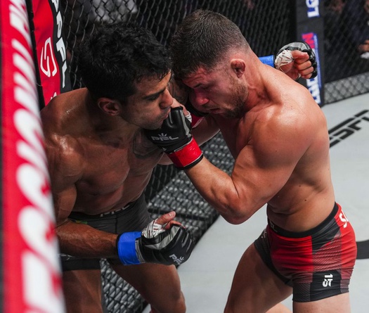 PFL MMA loại 2 võ sĩ khỏi giải đấu triệu đô vì "đánh quá chán"