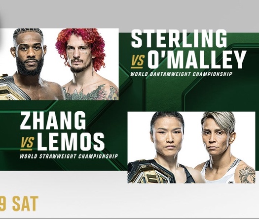 Lịch thi đấu UFC 292: Aljamain Sterling vs Sean O'Malley