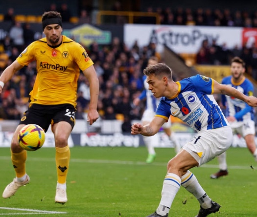 Nhận định, soi kèo Wolves vs Brighton: Phá dớp đối đầu