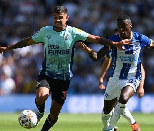 Nhận định, soi kèo Brighton vs Newcastle: Trở lại đường đua