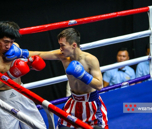 HCV Muay trẻ thế giới knockout đối thủ trên sàn Boxing chuyên nghiệp VSP Pro 9