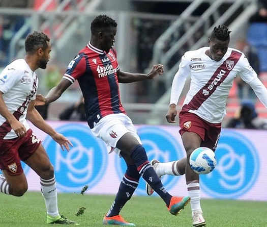 Nhận định, soi kèo Bologna vs Torino: Tìm lại cảm giác chiến thắng