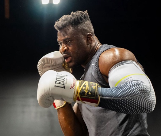 Francis Ngannou nói về mục tiêu thật sự khi đấu Anthony Joshua