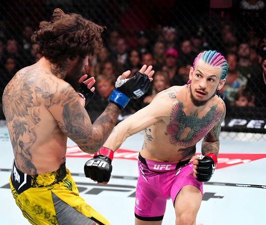 Loạt chỉ số đáng sợ khi Sean O'Malley "hành xác" Marlon Vera