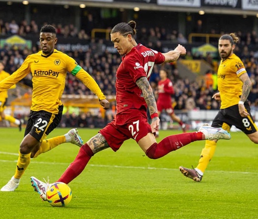 Nhận định, soi kèo Liverpool vs Wolves: Món quà chia tay