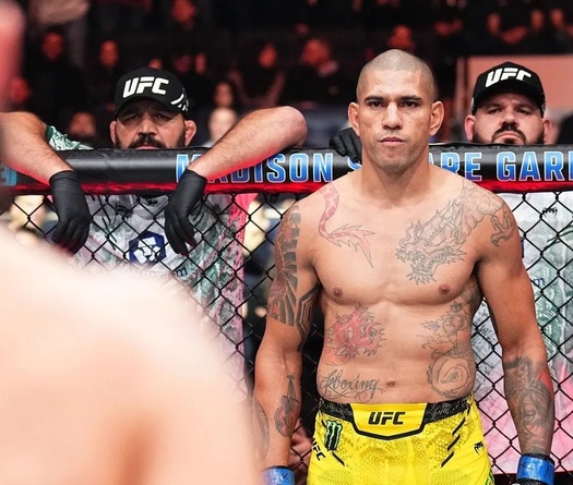 Alex Pereira: Nói về grappling của Ankalaev nhiều quá, có ai biết trình của tôi không?