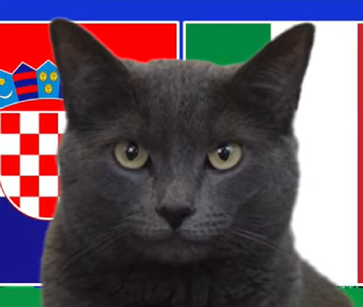 Mèo tiên tri dự đoán Croatia vs Italia, 2h ngày 24/6, Euro 2024