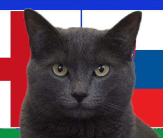 Mèo tiên tri dự đoán Anh vs Slovenia, 2h ngày 26/6, Euro 2024