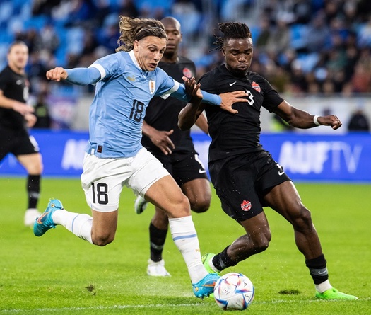 Tỷ lệ bóng đá trận Canada vs Uruguay, 7h ngày 14/7, Copa America 2024