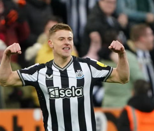 Nhận định bóng đá Nottingham vs Newcastle: Chích chòe gặp khó