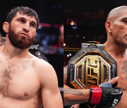 Alex Pereira: Magomed Ankalaev không được đánh vì quá chán