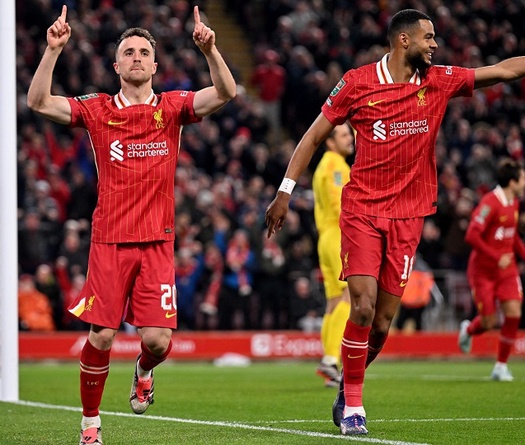 Dự đoán Liverpool vs Bologna, 2h00 ngày 3/10, Champions League 2024/25