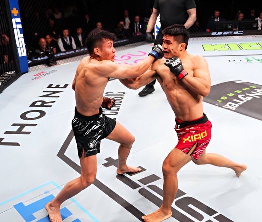 Quang Lê thất thủ trước nhà vô địch MMA Trung Quốc 