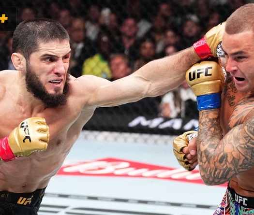 Dana White nhanh chóng định đoạt số phận chiếc găng mới của UFC