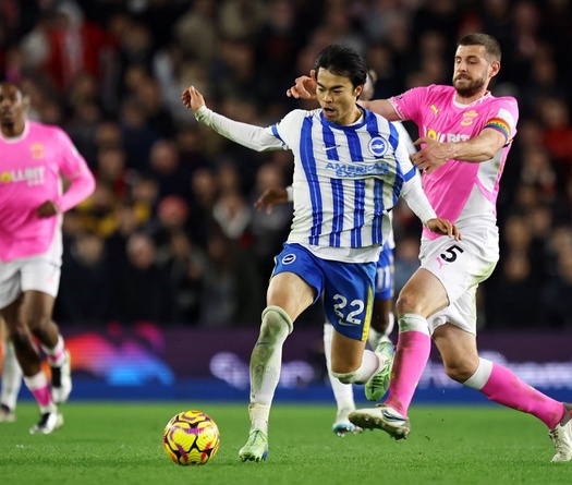 Dự đoán Fulham vs Brighton, 2h30 ngày 6/12, Ngoại hạng Anh 2024/25