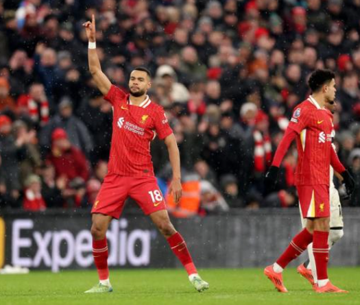 Nhận định bóng đá Tottenham vs Liverpool: Khoét sâu nỗi đau