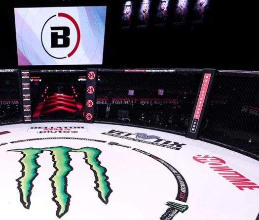 Bellator MMA bị "xóa sổ", PFL MMA làm gì với làn sóng phản ứng?